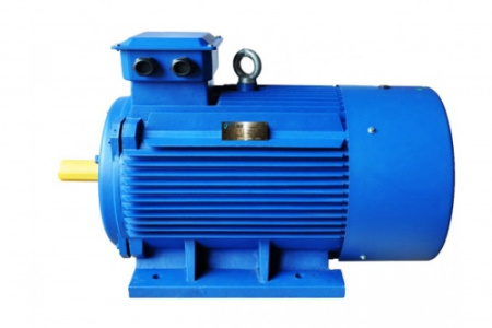Электродвигатель  АИР315M8 (Электромашина)