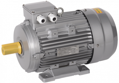 Электродвигатель АИC112М6 (iEK) 1081 - лапы