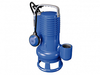 Насос ZENIT DG bluePRO  100/2/G40V А1BM5